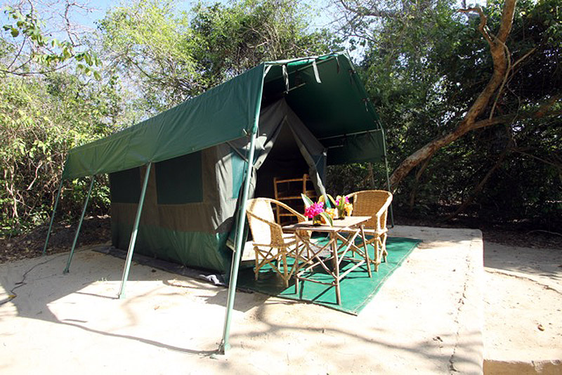 1 Small Bush Tent