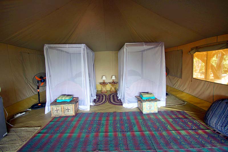 Accommodation Twin Tent